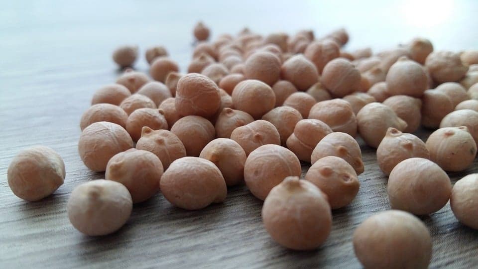 Seminário debate desafios pós - COVID no processamento de alimentos e cadeias de valor