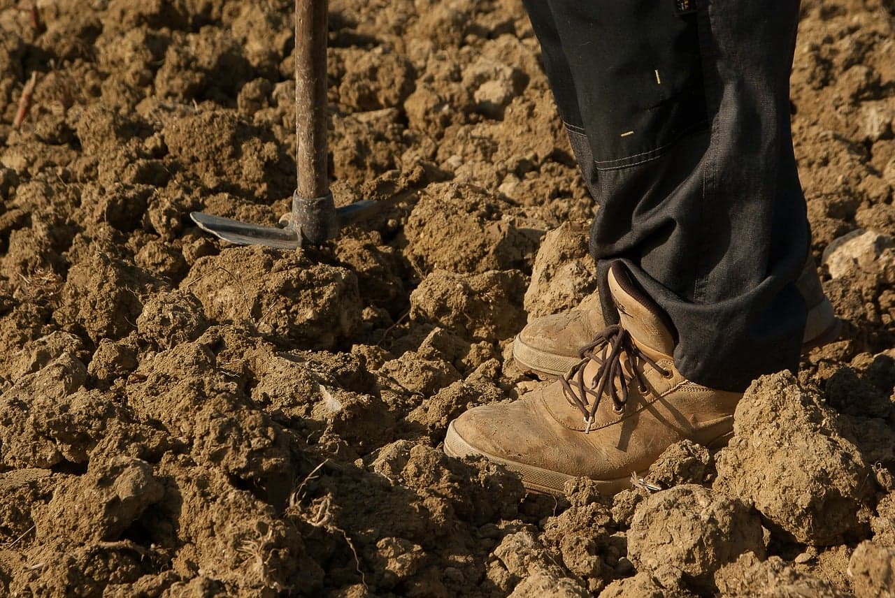 AJAP vai lançar plataforma inédita para promover competitividade dos Jovens Agricultores