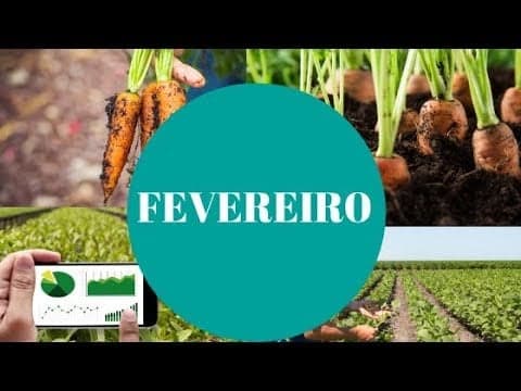 Tarefas agrícolas em Fevereiro: Saiba o que fazer no campo, horta e jardim