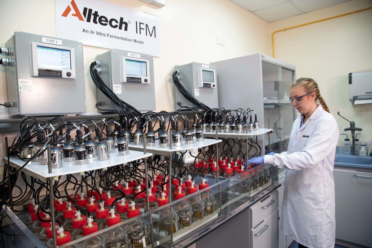 Alltech inaugura laboratório que analisa digestibilidade das rações dos bovinos