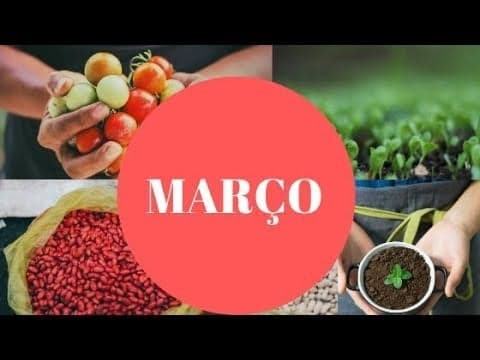 Tarefas agrícolas em Março: Saiba o que fazer no campo, horta e jardim