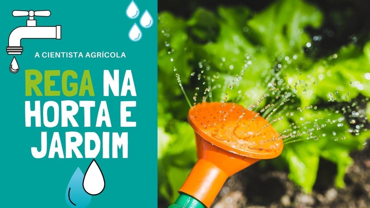 COMO POUPAR ÁGUA NA REGA: dicas básicas para horta e/ou jardim