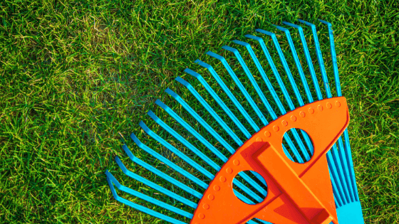 5 Truques básicos para cuidar corretamente da relva no verão