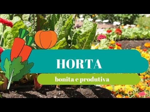 Como ter uma horta bonita e produtiva: 8 passos essenciais