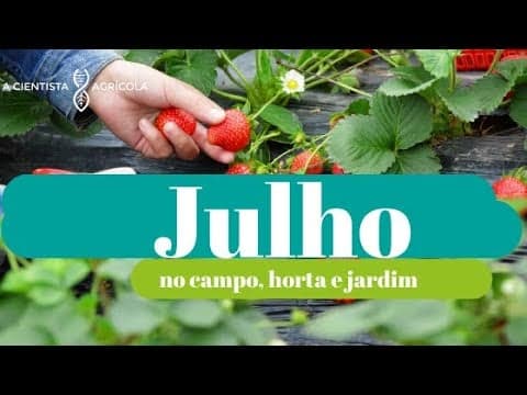 Tarefas agrícolas em julho: o que faz no campo, horta e jardim