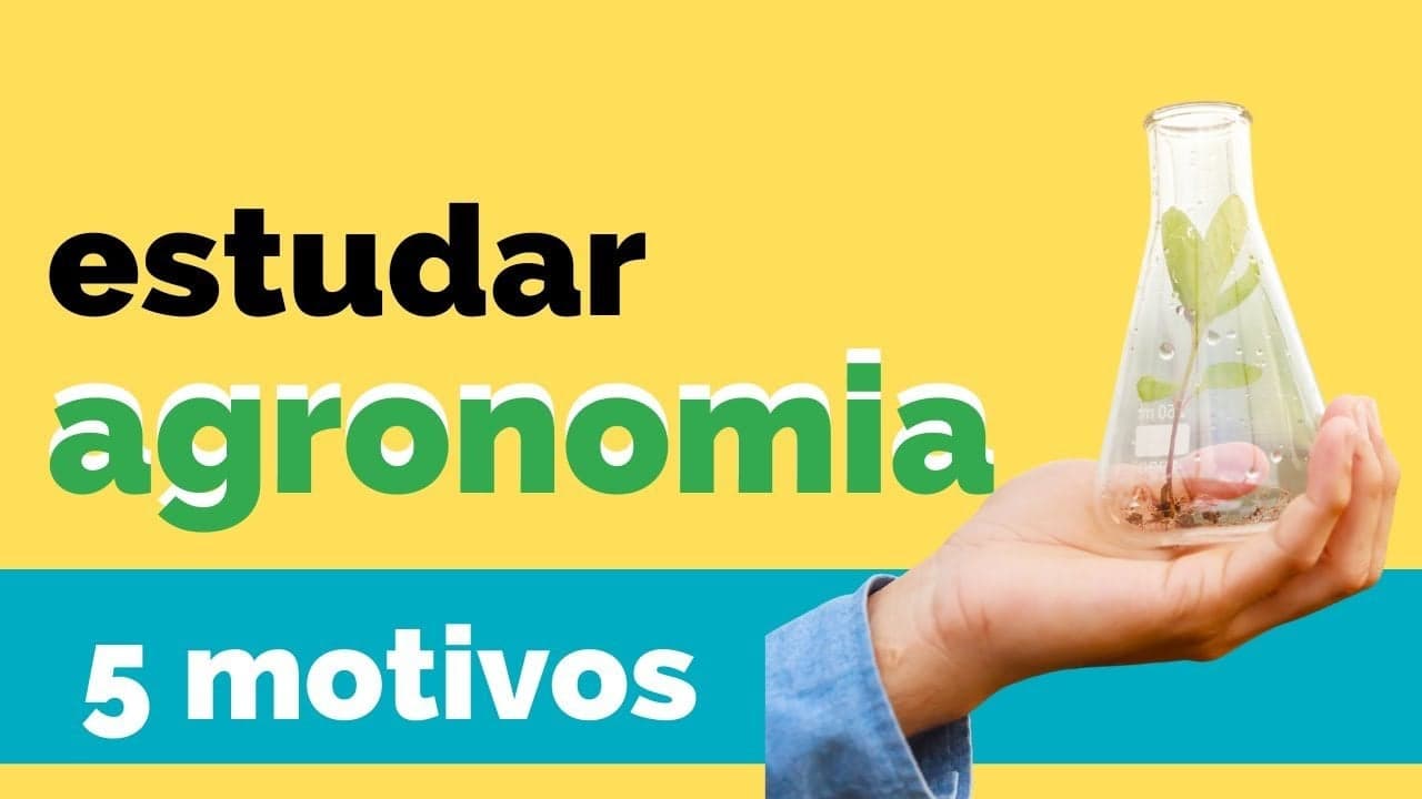 Estudar agronomia: 5 motivos para que dê esse passo