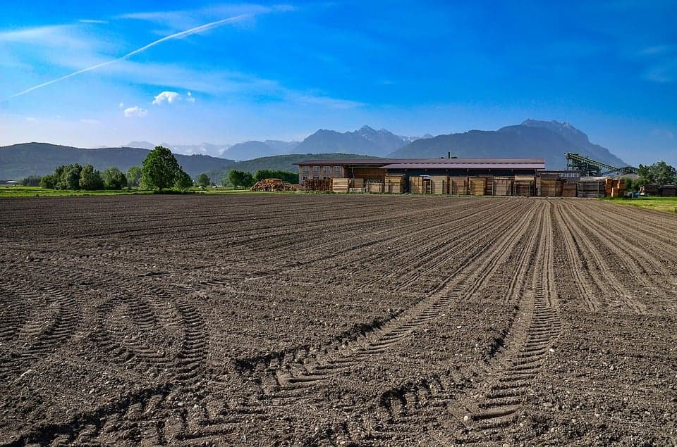 Saiba como "explorar" um terreno agrícola: principais formas