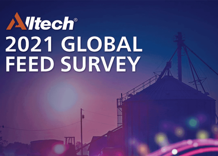 Alltech ONE Virtual Experience revela conclusões de dois inquéritos internacionais do setor agroalimentar