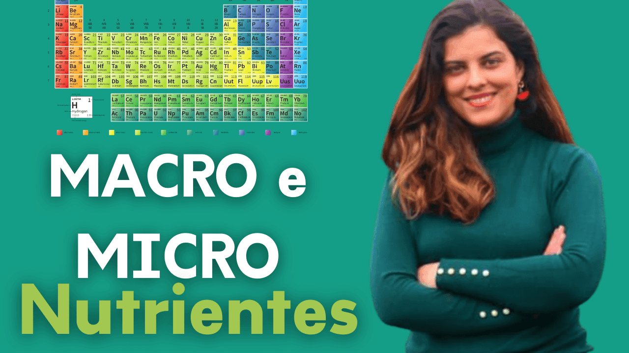 Saiba o que são macro e micro nutrientes e para que servem