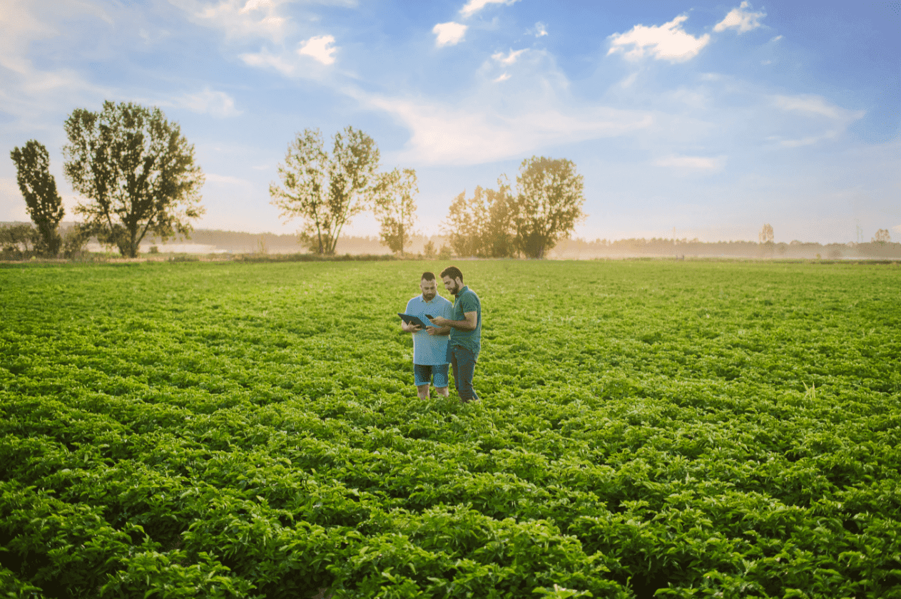 Pepsico anuncia meta de expandir as práticas de agricultura regenerativa para 3 milhões de hectares até 2030