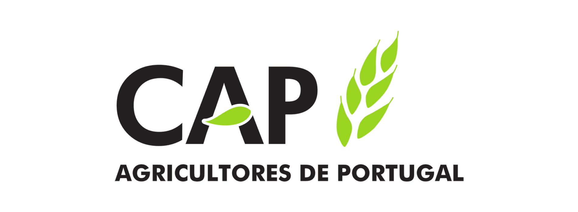 CAP apela à rejeição eleitoral de partidos disponíveis a coligarem-se com o PAN