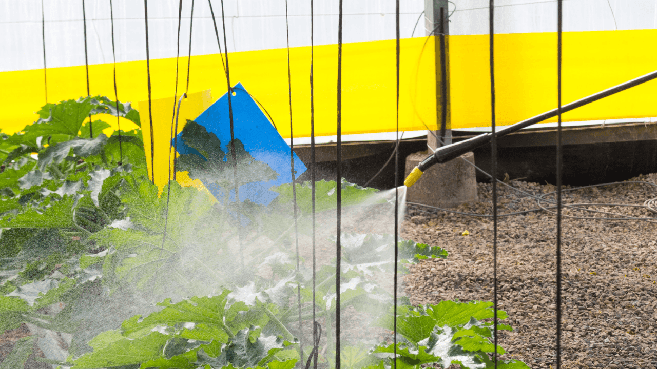 Tudo o que deve saber sobre a aplicação de bioestimulantes na agricultura