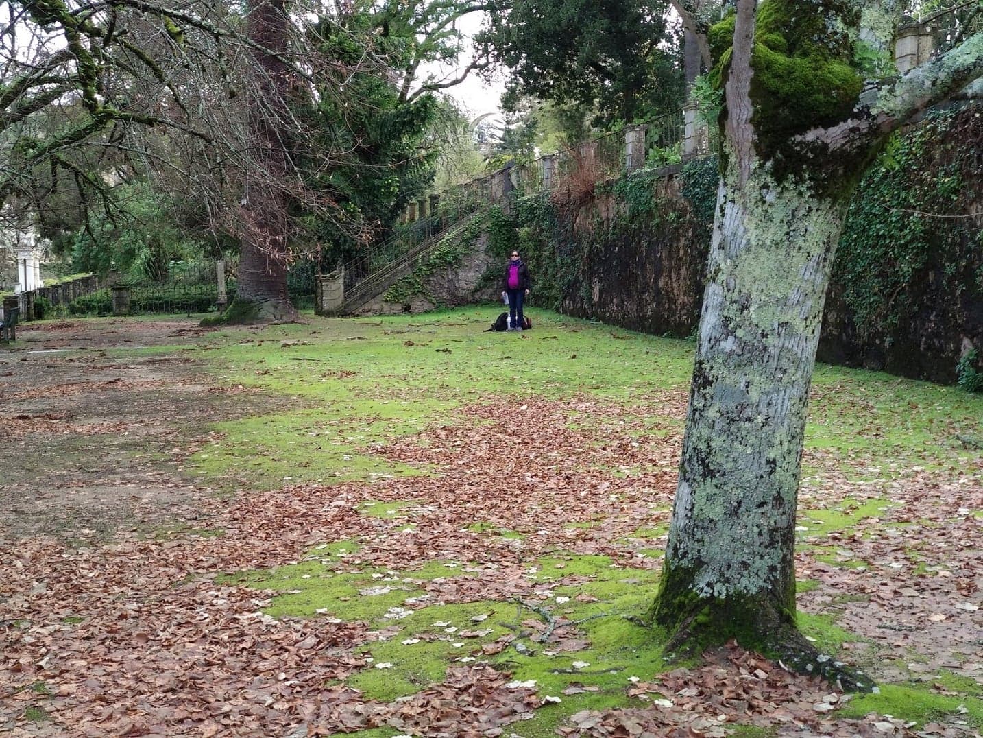 Estudo revela a biodiversidade escondida nos espaços verdes urbanos
