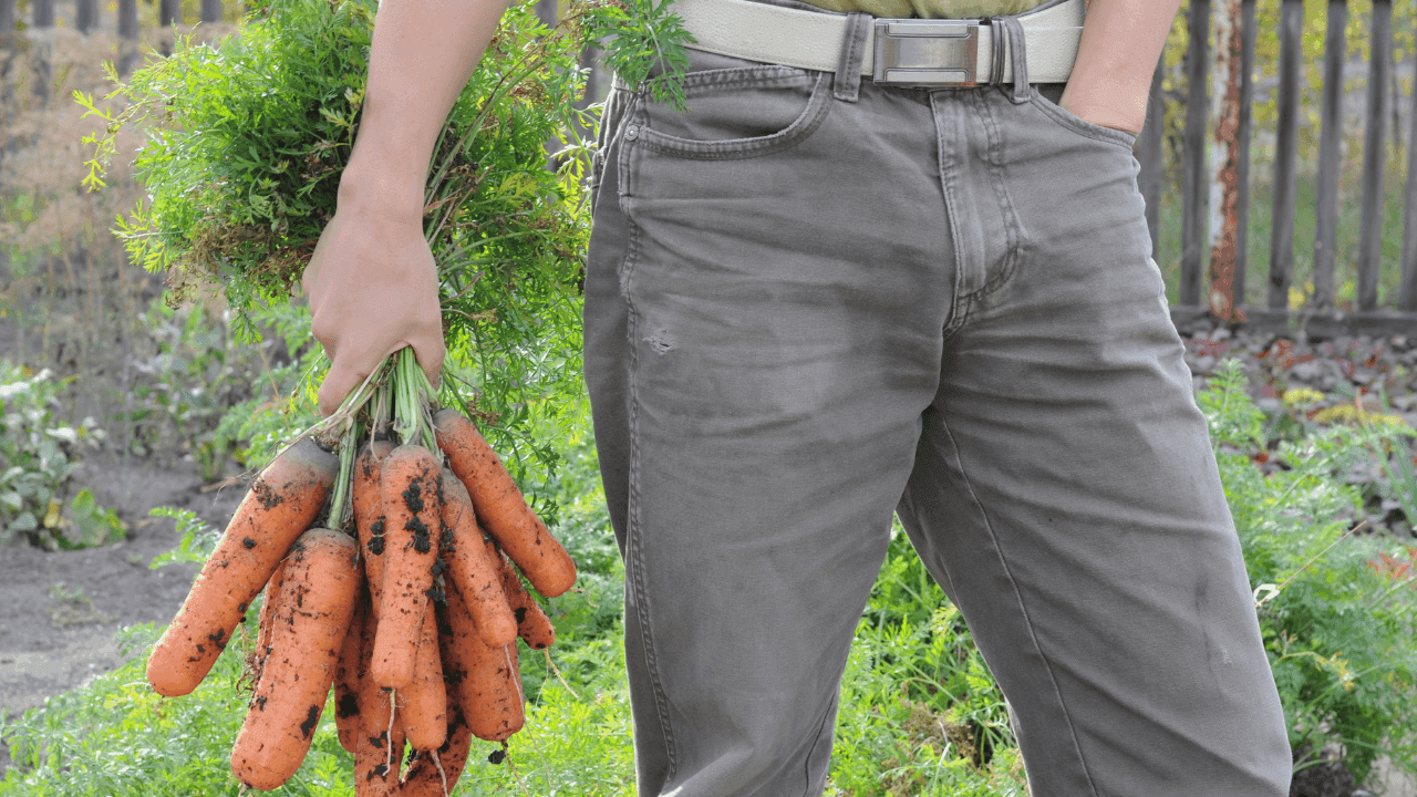 Governo quer instalar 2.700 jovens e novos agricultores com Plano Estratégico da PAC