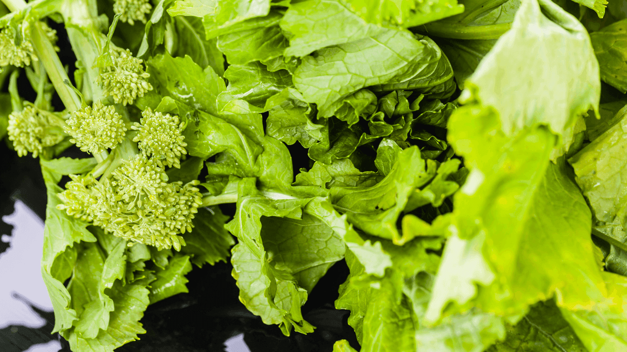 Cultivar grelos: o que deve saber para ter na sua horta a tempo do Natal