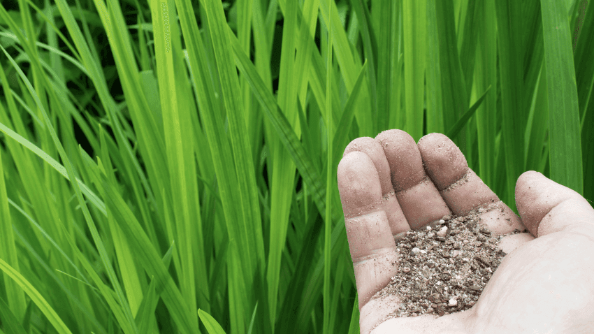 Tudo o que deve saber sobre os adubos sólidos e a sua aplicação nas suas culturas agrícolas