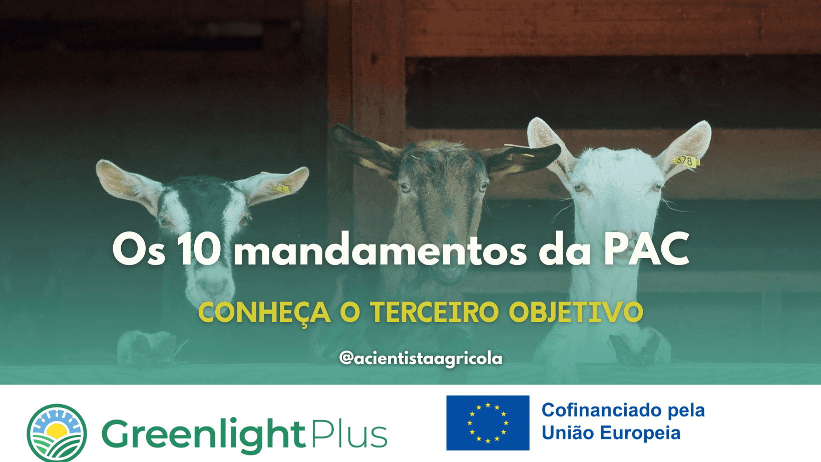 “Os 10 mandamentos da PAC”: conheça o terceiro mandamento