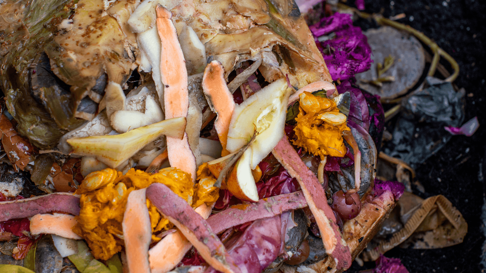 🌿🔍O que é Bokashi e como utilizá-lo na horta: um guia completo 🥕📕
