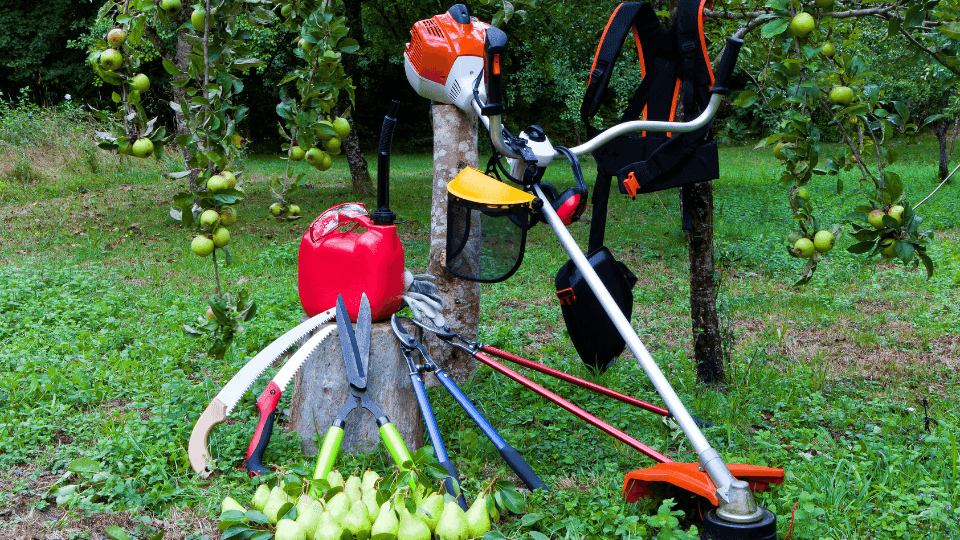 🌿🪴7 Máquinas de jardinagem que  precisa ter no seu jardim🌿🛠️