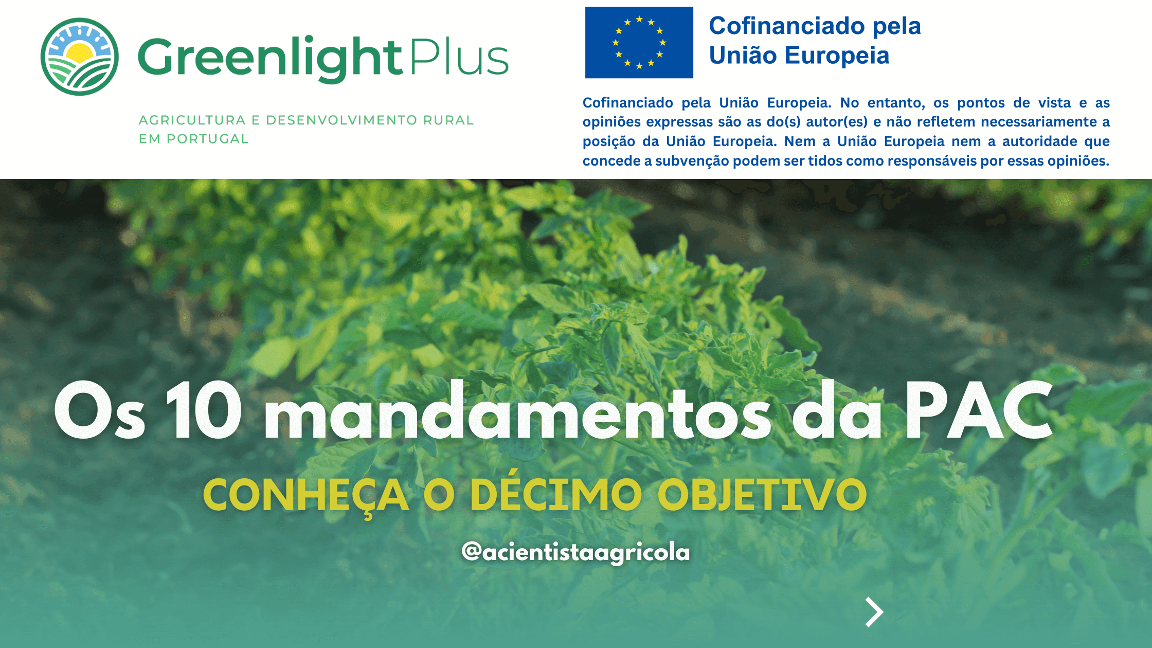 Conheça o décimo mandamento da nova PAC