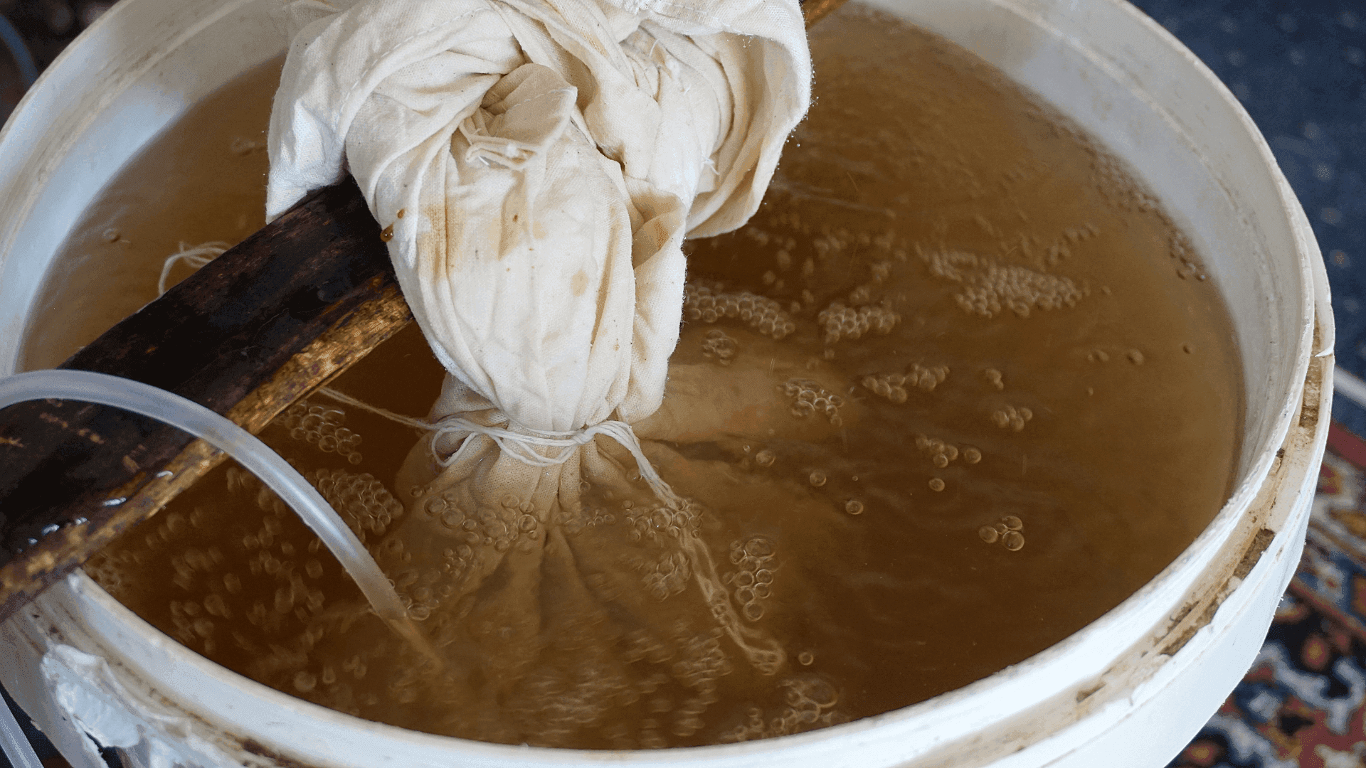 Urina como fertilizante na horta: mito ou verdade?