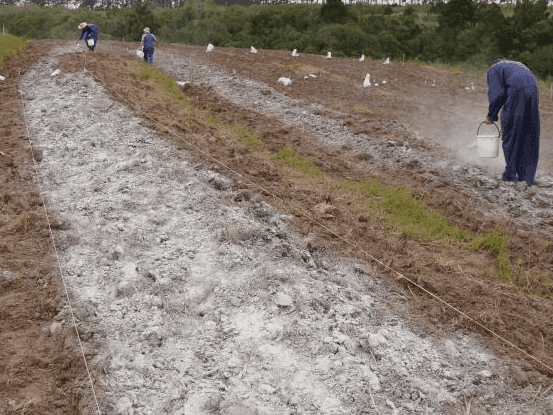 Soluções Biocal para Corrigir Solos Ácidos: Como Ajustar o pH de Forma Segura e Sustentável