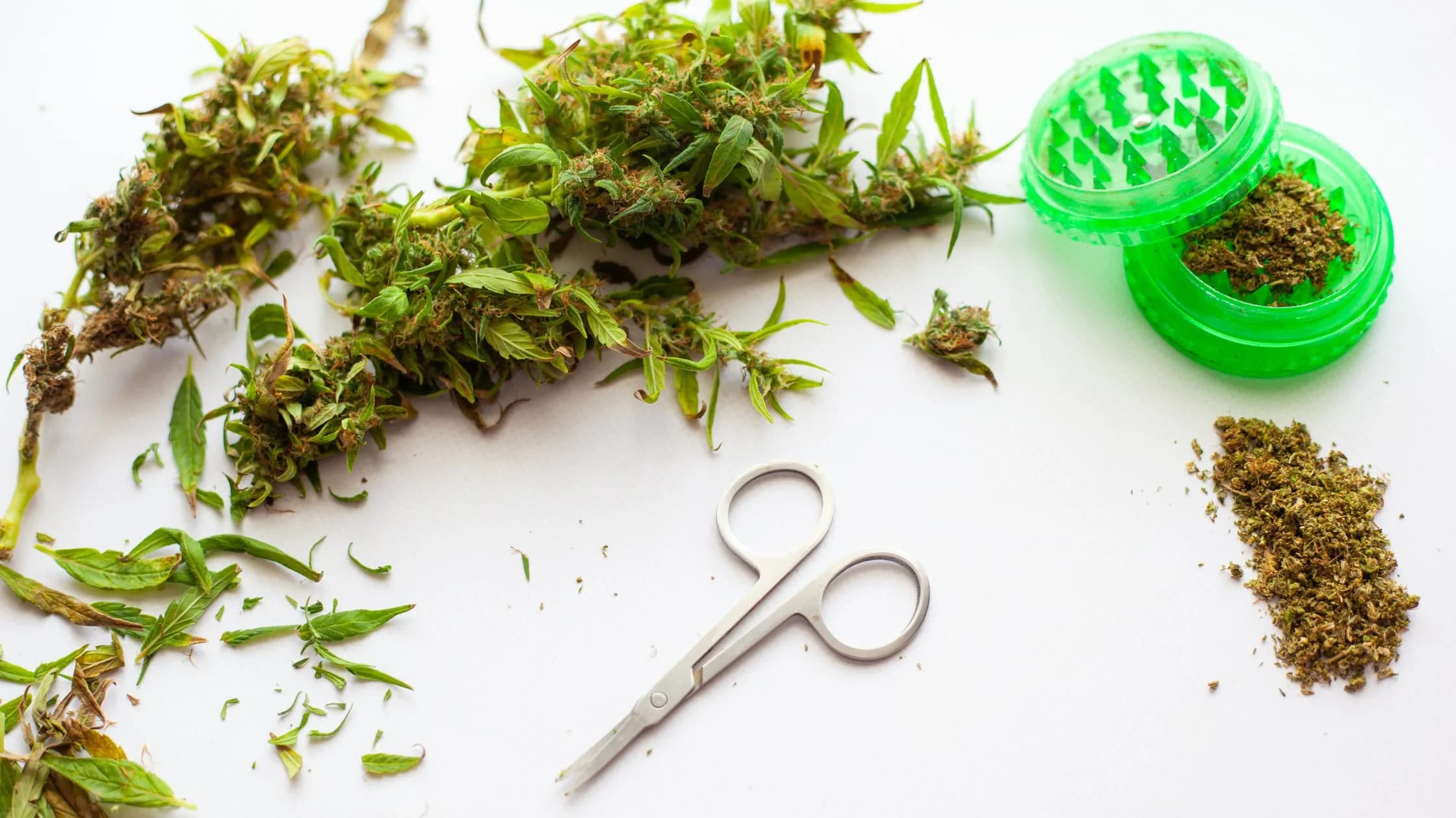 Conhece os métodos de conservação de ervas aromáticas