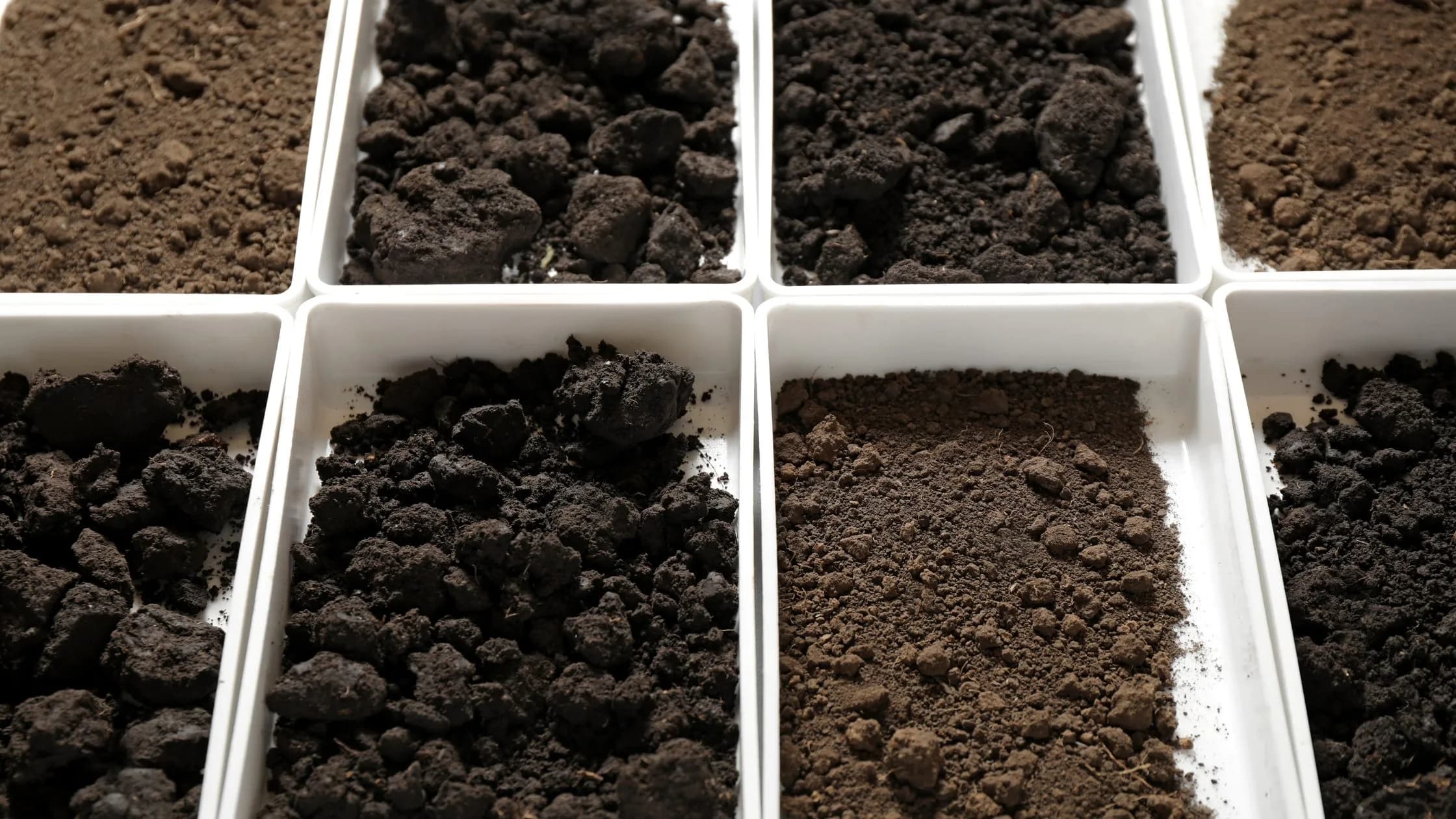 O Papel do pH na Eficiência dos Fertilizantes: Como Usar os Produtos Certos para Melhorar os Resultados