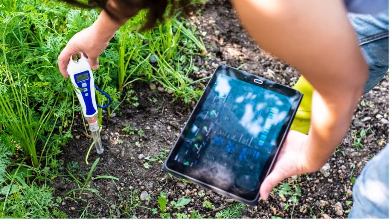 O Impacto de um pH Desequilibrado no Crescimento das Plantas e Como Corrigir