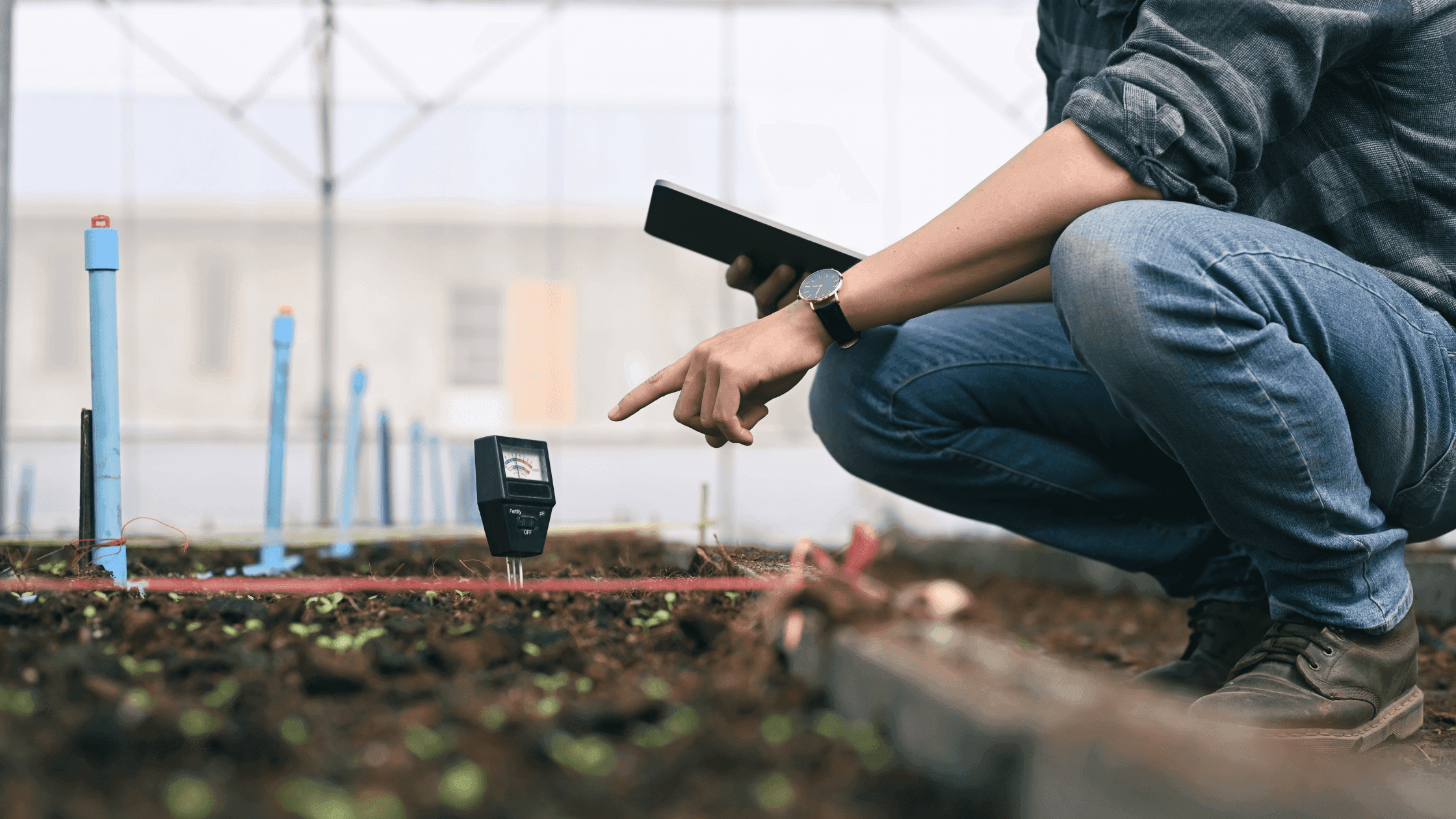 Como fazer a Correção do pH do Solo para Plantas que Exigem pH Específico