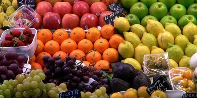 Colaboradores para apanha da fruta (m/f)