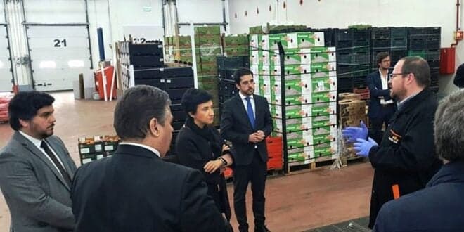 Agricultores com fruta e legumes por escoar têm apoio se os entregarem à solidariedade social