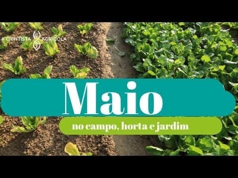 Tarefas agrícolas em Maio: Saiba o que fazer no campo, horta e jardim