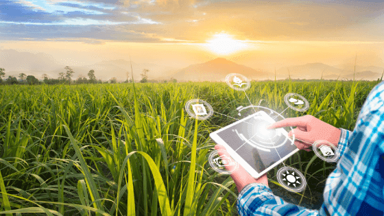 6 hábitos que deve adotar para ser bem sucedido no sector agrícola