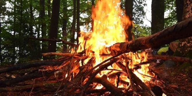 PAN quer mais investimento em videovigilância e na prevenção de incêndios