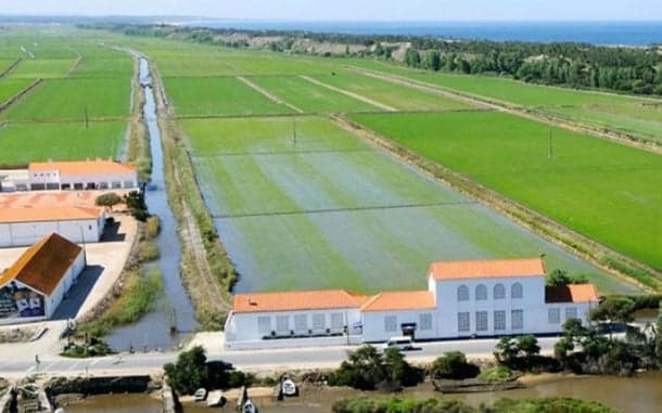 OFERTA DE ESTÁGIO: Engenheiro Agrónomo_Herdade da Comporta (m/f)