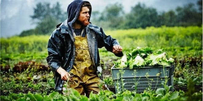 É trabalhador agrícola? Ministério da Agricultura esclarece circulação entre diferentes concelhos