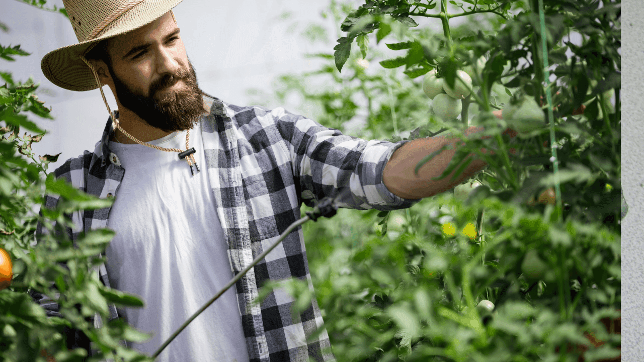 Covid-19: Recenseamento agrícola 2019 – Recolha de dados por telefone