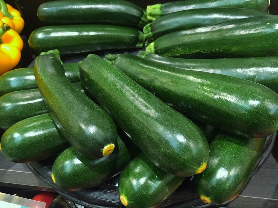 Como cultivar curgete na sua horta: dicas úteis para ter bons resultados