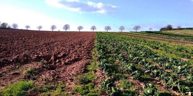 Agricultura e Estado de Emergência. Perguntas e respostas