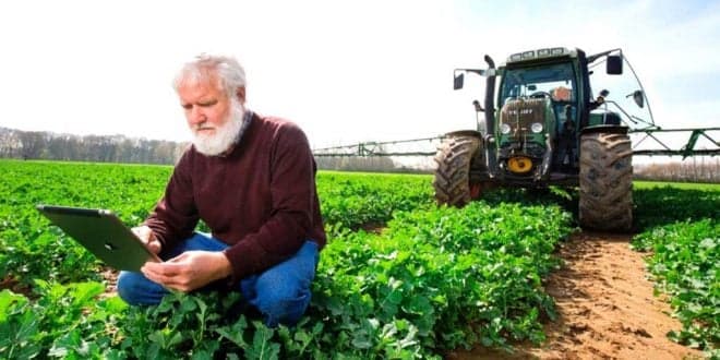 Covid-19: UE lança novo pacote de apoios. Agricultura e pescas incluídos