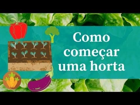 Como começar uma horta: alguns conselhos que deve ter em conta