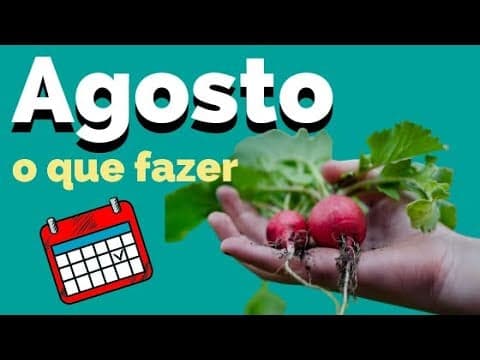 Tarefas agrícolas em Agosto: saiba o que fazer no campo, horta e jardim