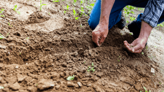 Recruta-se Técnico(a) Comercial para o Sector da Agricultura - Várias zonas
