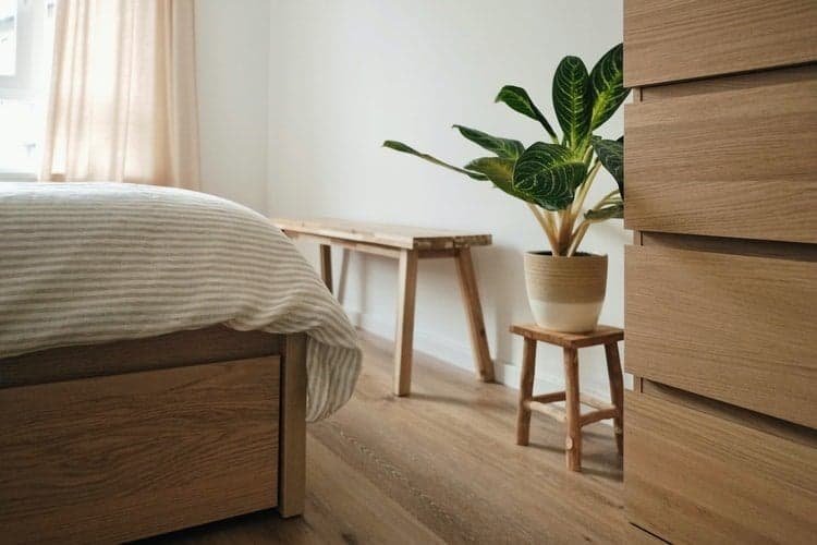 5 Coisas a Considerar ao Colocar Plantas no seu Quarto