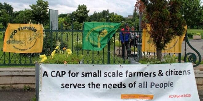 CNA e Via Campesina: Reforma da PAC “não serve a agricultura familiar e o mundo rural”