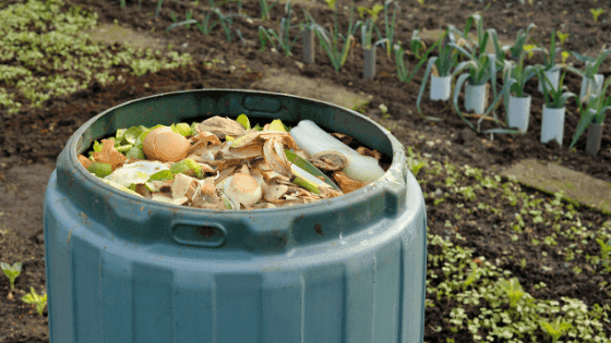 Como fazer compostagem caseira: conheça o passo a passo