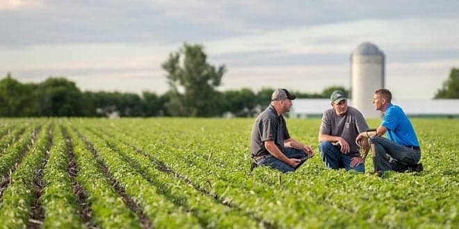 CAP diz que Estado falha pagamento de 25 milhões de euros em apoios a agricultores. “Isto não se faz!”