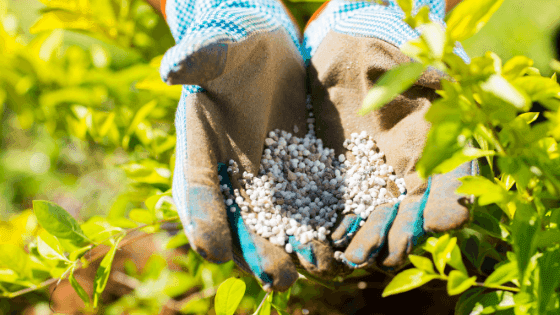 Governo acolhe medida PAN: IVA de adubos e fertilizantes não-orgânicos passa de 6% para 13%