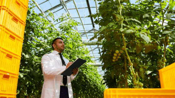 5 formações online de curta duração na área agrícola que deves apostar